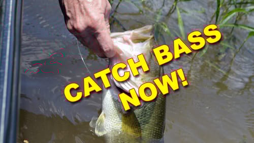 Bass Fishing Basics: How To Catch Bass | 10 Must Have Lures!