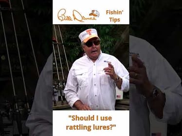 Should I use a rattling lure?