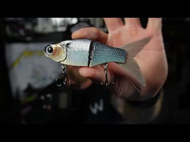 LIVE UNBOXING: Unobtainable Swimbait