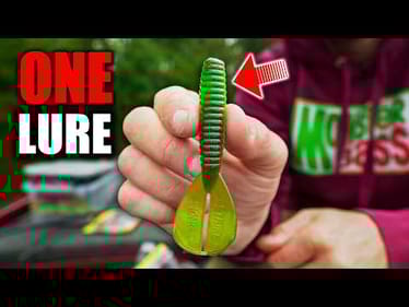 The ONLY Texas Rig you NEED to catch Early Summer Bass