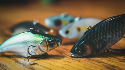 Lipless Crankbait Buyer's Guide - Best Baits For The Price