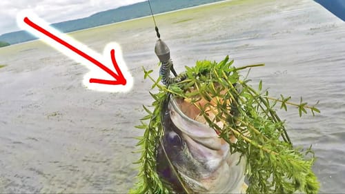 I LOVE this KIND of FISHING ~ Flipping HEAVY VEGETATION