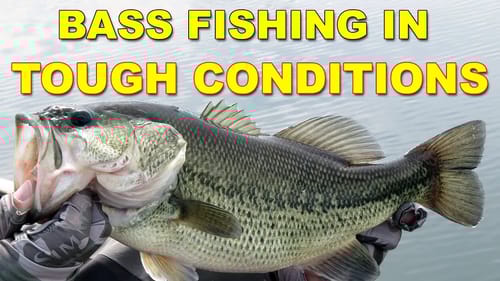 Spring Bass Fishing In Tough Conditions | Bass Fishing