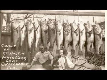 Big Bass Have Disappeared From Our Lakes…HERE Is The Disturbing Reason Why…