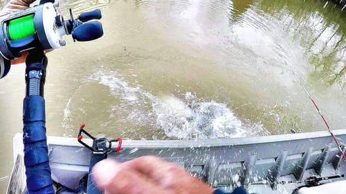 WHAT AM I GOING TO DO!!! DOUBLE TAKE DOWN! Catfish Fishing With Cut Bait