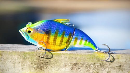 Fishing Ultra-Realistic SWIMBAIT in Crystal CLEAR Water! (LOADED)