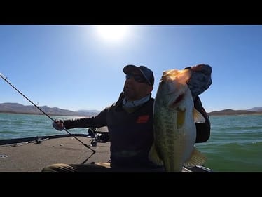 Catching Bass in EXTREME Desert Heat!
