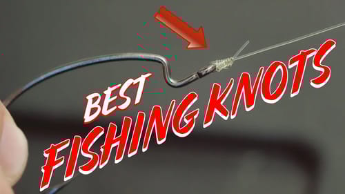 3 Fishing Knots Everyone Should Know!