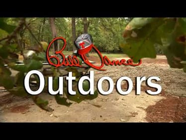 Tell Me About Crankin' | Bill Dance Outdoors (Full Episode)