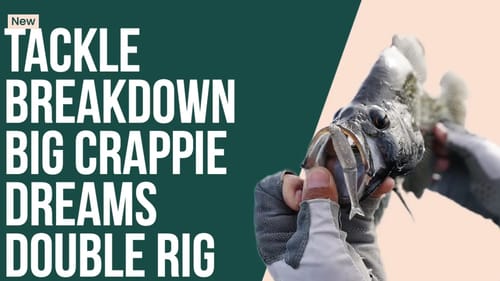 Double Rig for BIG Crappie with the Gancraft Shape-S 2.5" Swimbait