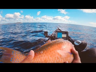 A Prized Eating Fish - Catch Clean Cook