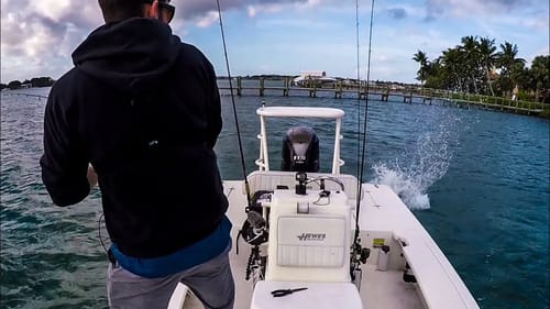 Psycho Fish Nearly Leaps in Boat When Hooked!