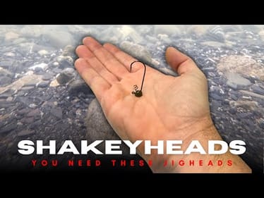 These Shaky Heads Are Legit! Try Them! 