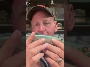 Top Largemouth Bass Lures Of 2025