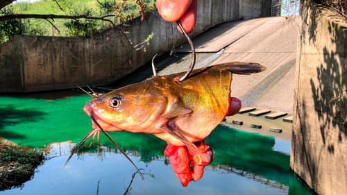 This TINY Spillway was Hiding a NEW PB!!!