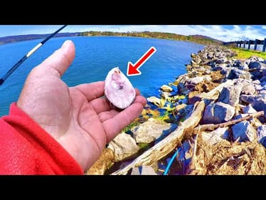 Simple & Easy! This Is All You Need To Catch Loads Of Catfish