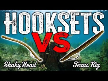CORRECT Bass Fishing Hookset: Hook Fish Like a Pro (Texas Rig & Shaky Head)