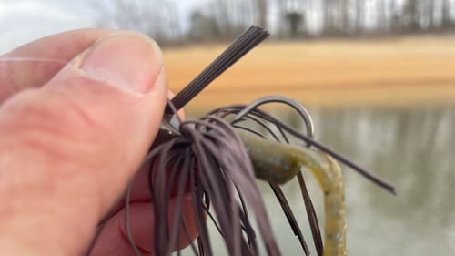 Only Newbies Stick Fish Under These Conditions