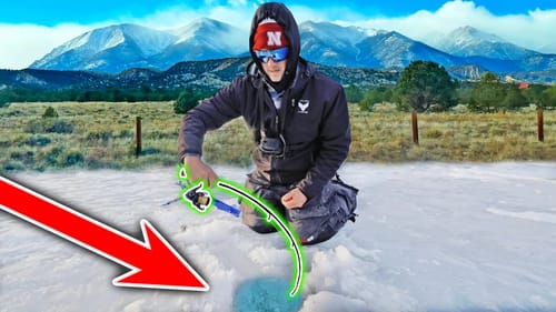 I CAN'T BELIEVE the GIANT Fish in this TINY Mountain Pond!! (Catch n' Cook)