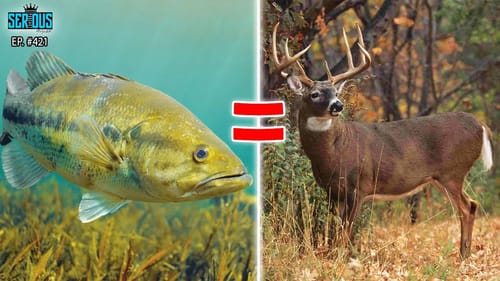 Do BIG Bass and BIG Bucks Behave the SAME?