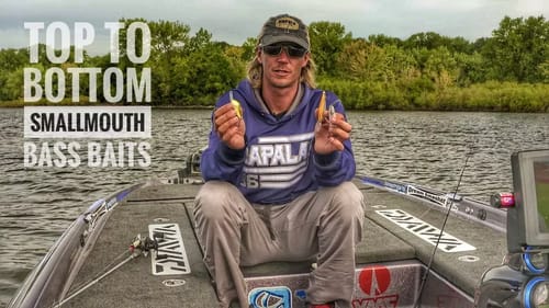 Top to Bottom Smallmouth Bass Baits
