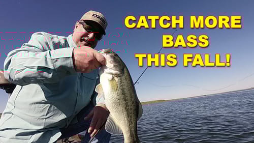 Setting Yourself Up For FANTASTIC Fall Bass FISHING! | Bass Fishing