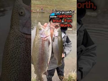 Catching Monster Rainbow Trout in Fort Worth, Texas #fishing #trout