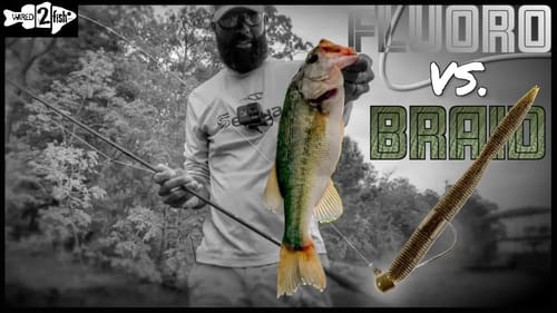 3 Advanced Shaky Head Tips for Spawning Bass