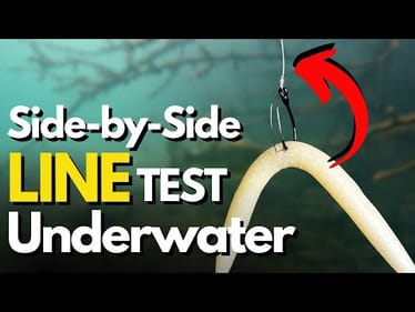 Does Wacky Rig Line Size Make a DIFFERENCE? (Side-by-Side Test)