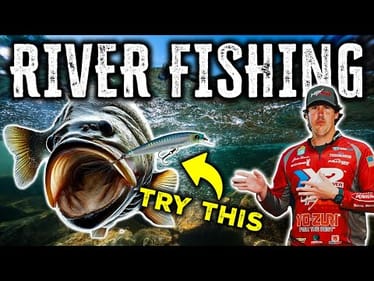 Hamner's River Fishing Tips: Unlock Pro Secrets to Current & Feeder Creek Patterns