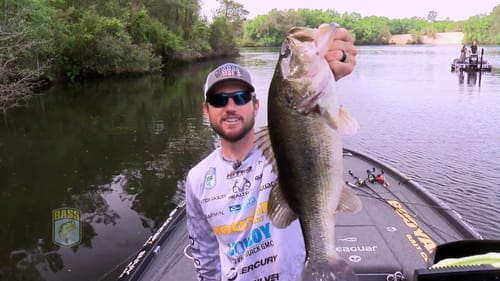 Dream Big - Stetson Blaylock
