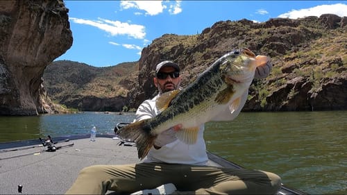 Unbelievable Big Bass Catches!