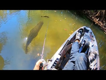 My HEART STOPPED when I SAW THIS FISH ON MY BAIT!