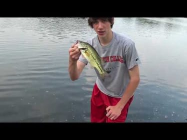 Experimental Bass (Post Spawn Fishing)