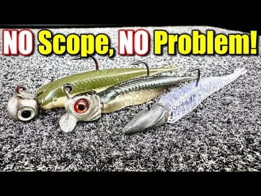 3 Proven Jig Head Minnow Techniques That DON’T Need Forward Facing Sonar