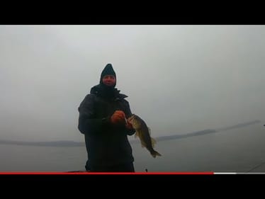 Winter Jerkbaitin' With The Megabass X-Nanahan...(On The Water Action)