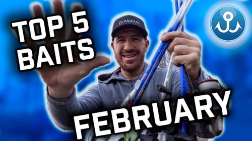 Jacob Wheeler's Top 5 Baits - February 2023