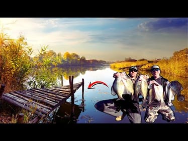 These DOCKS Were LOADED With AGGRESSIVE FISH!! || Lake Anna