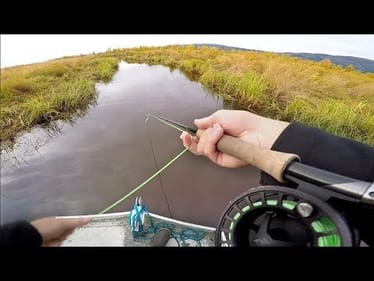 Secret Swamp INFESTED With Vicious Fish!