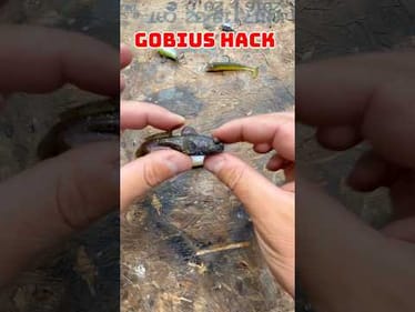 Z-Man Gobius Hack