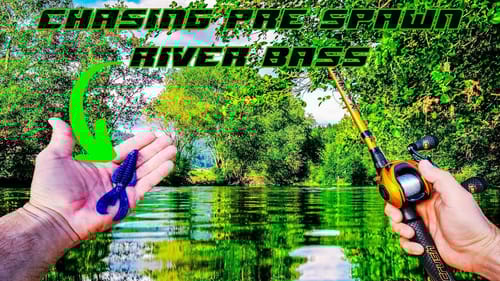 Chasing BIG Pre Spawn BASS on a SHALLOW RIVER!!! || LEE'S BACK