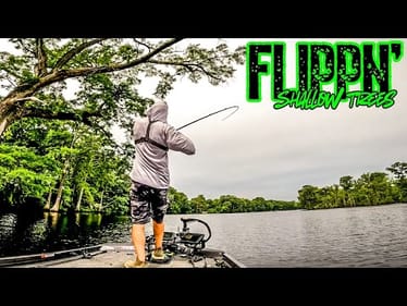 Flipping SHALLOW TREES in Search of WINNING FISH!!! || Roanoke River Bass Tournament