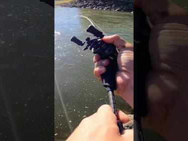 Catching a spillway giant on my BFS set up! #fishing