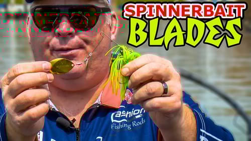 Spinnerbaits STILL Catch BASS! Spring Fishing Secrets