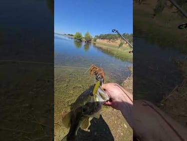 Fishing some weedlines way way out