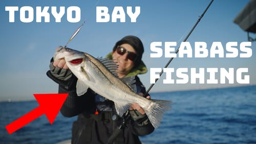 Fishing For Japanese Seabass In Tokyo Bay With OSP! Prototype Testing!