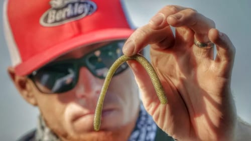 A Look at Berkley PowerBait MaxScent