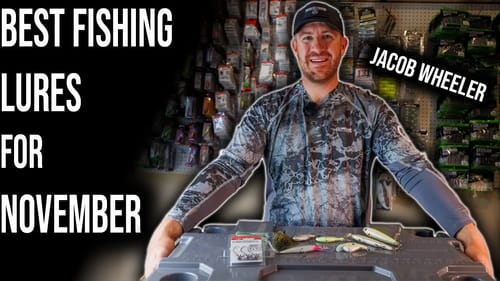 Jacob Wheeler's Top Picks for November - Bass Fishing Lures