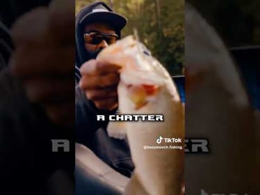 I designed a chatterbait rod… (watch this)