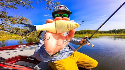 SWIMBAIT ONLY TOURNAMENT || Last Second Shot Call Wins Us Money! Swimbait Universe Gathering Event